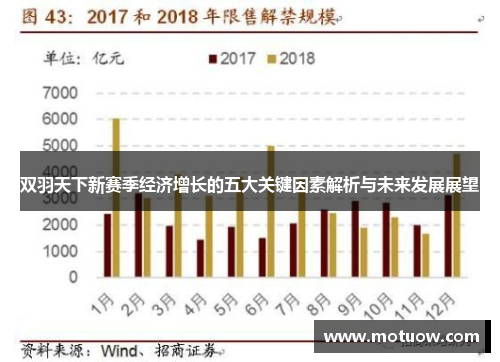 双羽天下新赛季经济增长的五大关键因素解析与未来发展展望